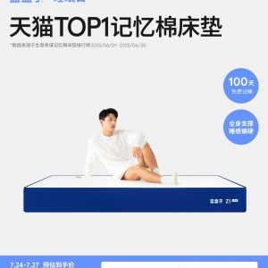 蓝盒子Z1小石头政府补贴偏硬独立袋装弹簧床垫家用卧室双人席梦思