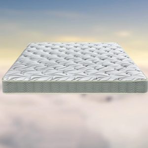 雅兰 兰系列 兰屿