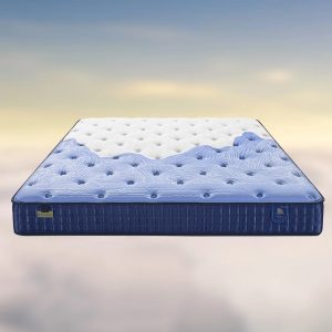 雅兰 国宝系列 一品江山