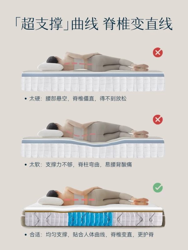 林芃云宿席梦思床垫厚20cm家用主卧弹簧独立乳胶椰棕官方护脊硬垫 - 图片 3