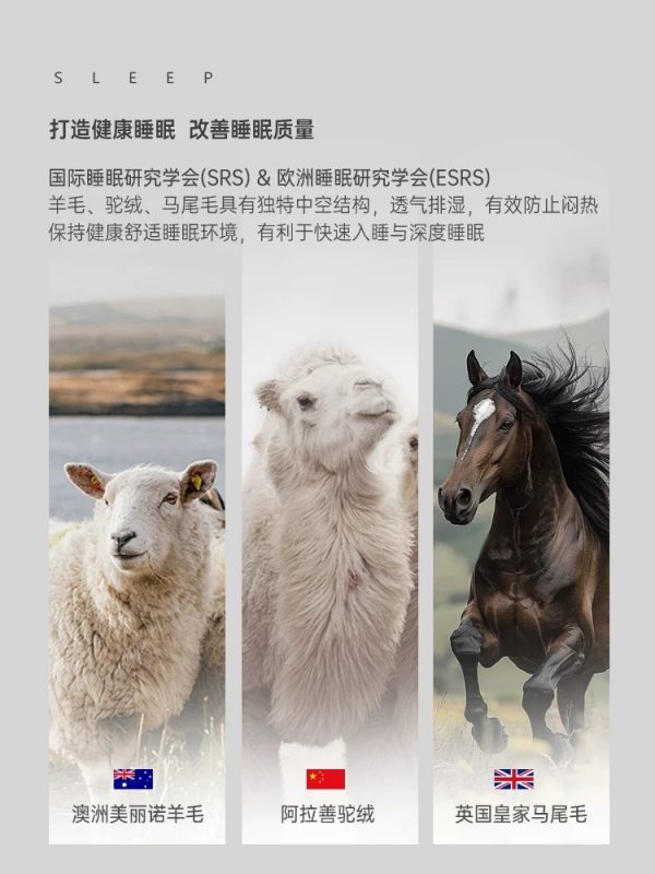 LINAFURN马尾毛床垫高端定制vispring床垫软垫海丝腾手工弹簧床垫 - 图片 3