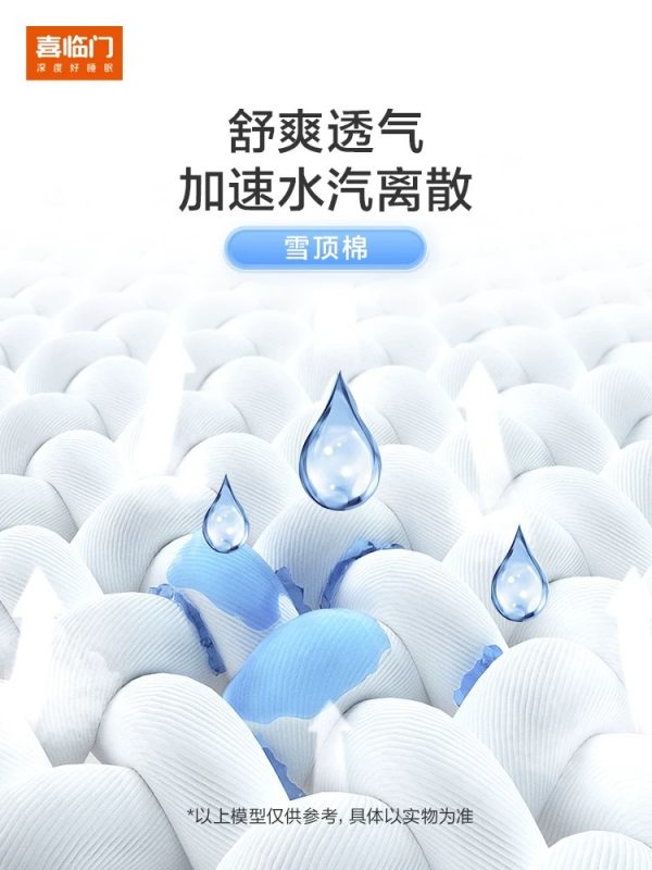 【漾Pro】喜临门政府补贴杨洋推荐记忆绵透气席梦思七区弹簧床垫G - 图片 3