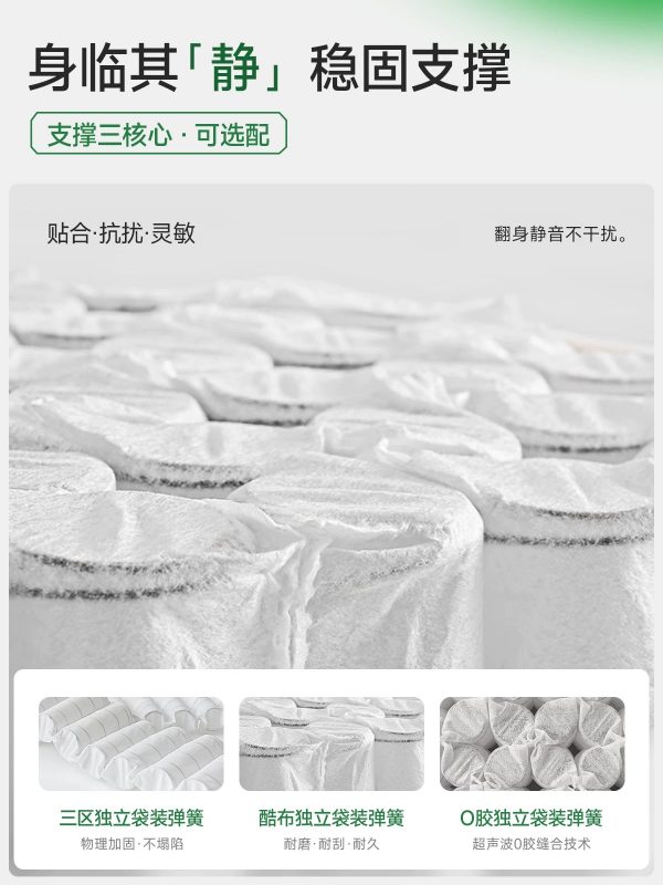 麻大师豆芽黄麻护脊腰双人硬垫乳胶弹簧记忆棉席梦思厚床垫子家用 - 图片 4