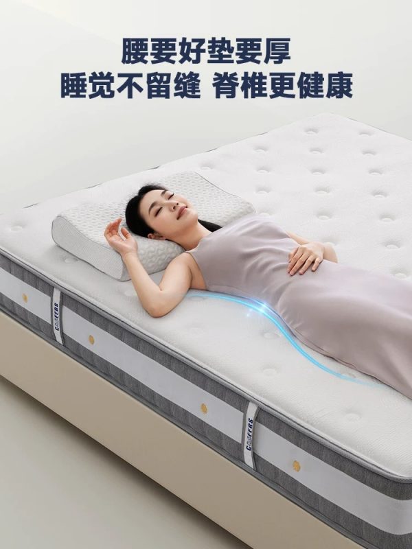 芝华仕弹簧乳胶床垫席梦思酒店厚垫子软硬卧室家用d026 - 图片 4
