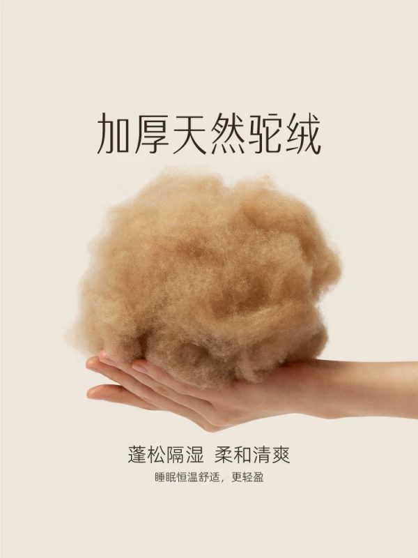 大小姐半日闲高端记忆棉床垫席梦思家用双人垫 - 图片 5