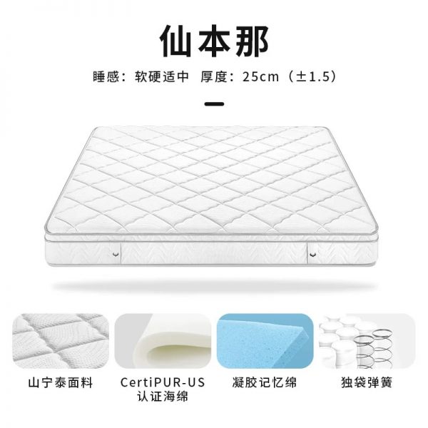 穗宝弹簧加厚1.8米床经济型家用成人双人床席梦思护脊床垫 堪培拉 - 图片 8