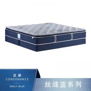 丝涟 蓝系列 灵犀