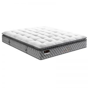 金可儿 五星之选