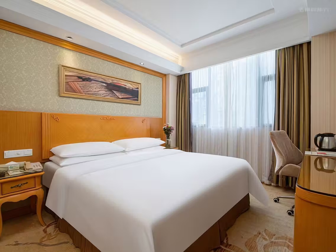 维也纳酒店 - 图片 4