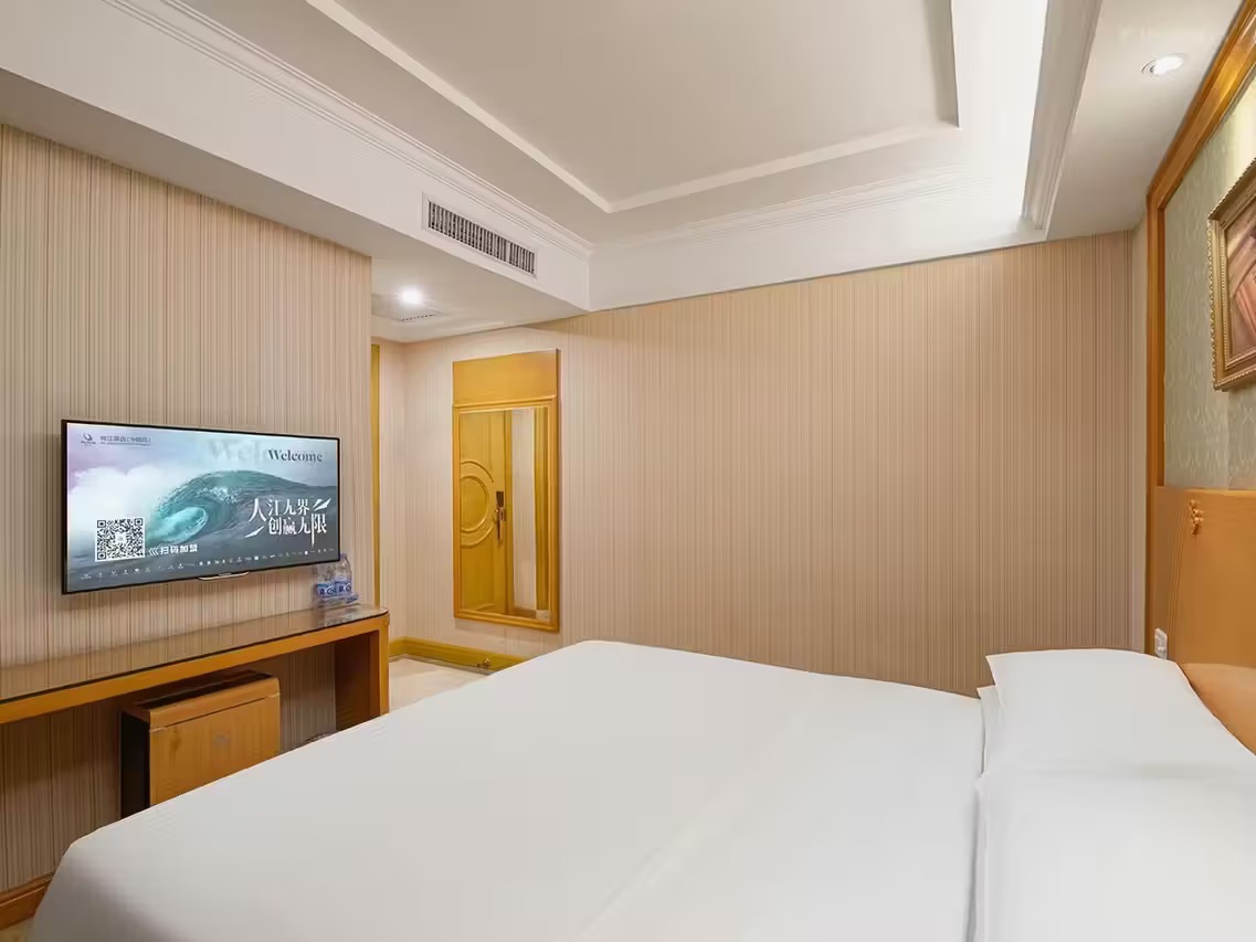 维也纳酒店 - 图片 5