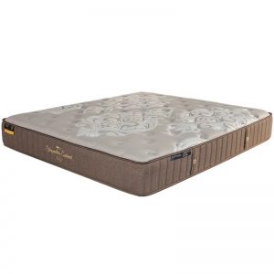 金可儿 专家之选